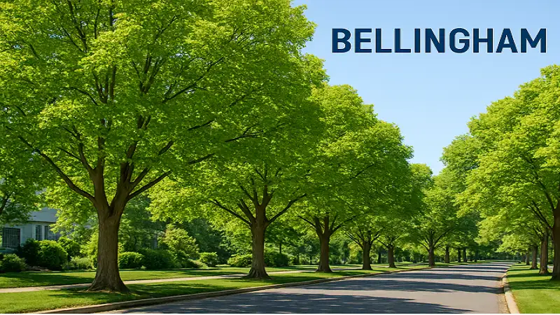 How Tree Care is Shaping Sustainable Landscapes in Bellingham, WA